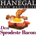 Hanegal Bacon